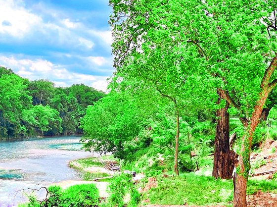 Wooded bank beside the Lampasas River at River Bone Ranch