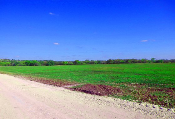 Open meadow at River Bone Ranch